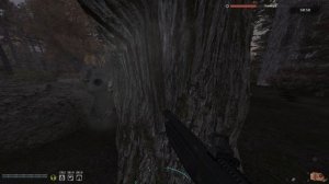 STALKER Рейд во Мрак. Рейд 13, 14 Свалка, Рыжий