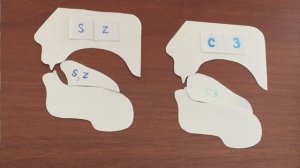 Английский язык Звуки [s,z] (нарезка) ЛЕКЦИЯ 10.2 Транскрипция Произношение Правила чтения