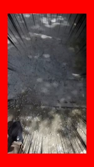 СеЛяВиБля
