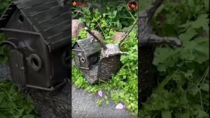 Присоединение к проекту Творим ради жизни