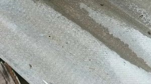 Поилка для пчёл.