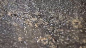 Вы выкопали колодец ,вода грязная ...опачки,а оказывается не наша вина , вода чистая . podkapaev.ru