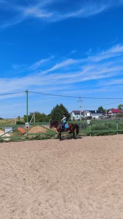 Саша на Аквилоне едет учебной рысью на плацу.
