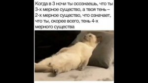 Милота и смех 🤣