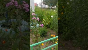 Прогулка, вторая часть❤❤🐆🐆❤❤