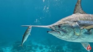 Рыба-меч - создано Ai