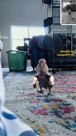 Эйн, Цвей, Дрей Канал LeopARTnik на русском