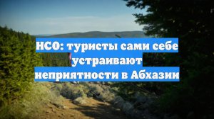 НСО: туристы сами себе устраивают неприятности в Абхазии