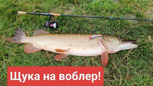 Трофейная ЩУКА с лодки на ВОБЛЕР!!!