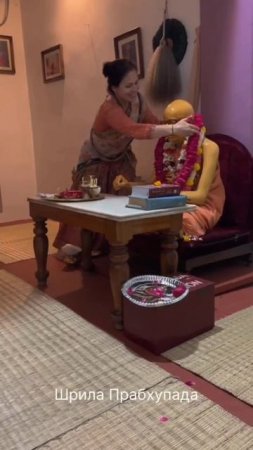 Vrindavan ❤️ #beautiful #deities #krishna #viral #India #recommended #vrindavan #tample #shorts
