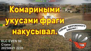 Комариными укусами фраги накусывал. ELC EVEN 90. Стапи. 20250621 2220 (лт).