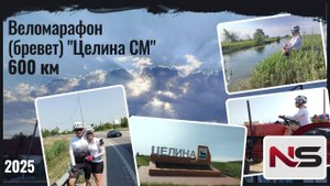 Бревет "Целина СМ" 600 км 2025
