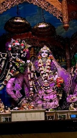Radha Madhava darshan Mayapur Dham #mayapur 1 #shorts