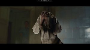 Каруза
(фильм, 2025) трейлер