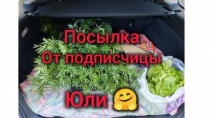 Посылка от подписчицы Юли