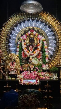 Narasimha Chaturdashi Narasimha dev darshan #mayapur #narasimhadev #ahorts