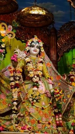 Radha Madhava darshan 6 in Mayapur Dham #mayapur #music #deities #shorts