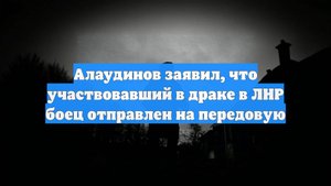 Алаудинов заявил, что участвовавший в драке в ЛНР боец отправлен на передовую