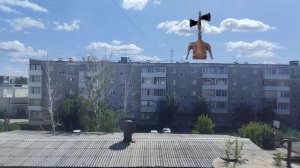 серенаголовый у меня на дворе