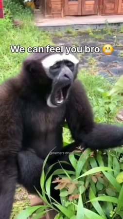 1000065023.mp4