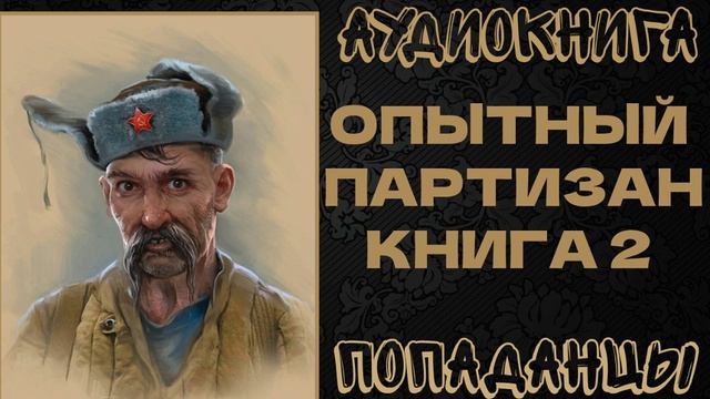 АУДИОКНИГА ПОПАДАНЦЫ: ОПЫТНЫЙ ПАРТИЗАН. КНИГА 2 смотреть онлайн