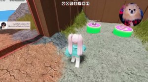 ПОИСК ПРОПАВШИХ КОТЯТ В РОБЛОКС ! ЭЛИС СПАСАЕТ МАЛЕНЬКИХ КОТЯТ В ROBLOX | Find the Cats