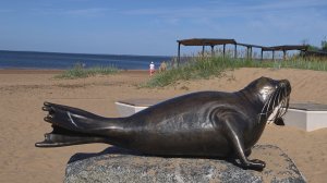 Пляж Дюны ⛱️ Сестрорецк