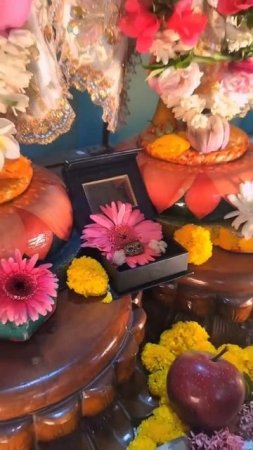 Russian program || Ecstatic Kirtan and Prasad #mayapur #kirtan #Russia #prasadam #shorts