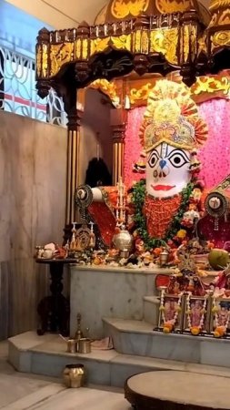 Jaganath darshan and Jaganath Maha Prasad in Rajpur #shorts