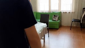 Боль в пояснице отдаёт в ногу. Часть 2. Травма локтя, как лечить...