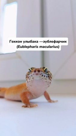 А вы знали о таком?😉