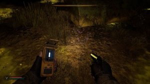 С.Т.А.Л.К.Е.Р. 2 -Аномальное поле