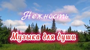 Музыка для души. Красивая, нежная музыка.