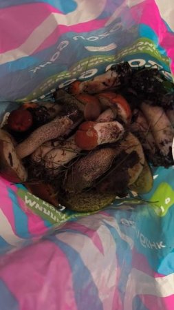 Грибочки
