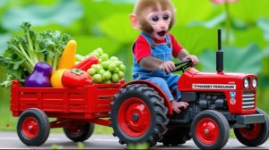 ОБЕЗЬЯНКА ЧИЧИ СТРОИТ СВОЮ ФЕРМУ