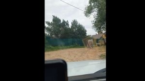 Болдинка (06.07.2025).mp4