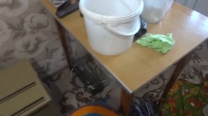 ДАЧА-САД ЧТО НАДО ДЛЯ РАЗВЕДЕНИЯ ЦЫПЛЯТ В КВАРТИРЕ ЗИМОЙ