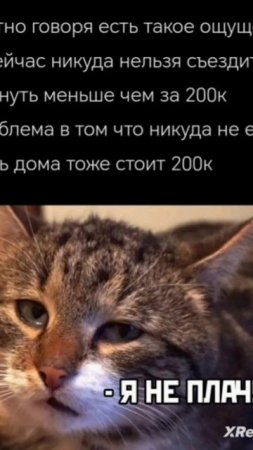 scene_output.mp4