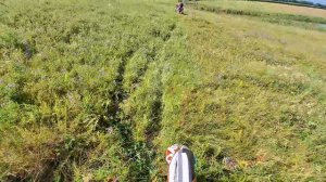 Покатушки на эндуро.