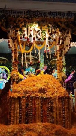 Pushpanjali on Nityananda Trayodashi in Mayapur Chandrodaya mandir #mayapur  #pushpanjali #shorts