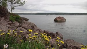 парк  "  Монрепо  "  (3)