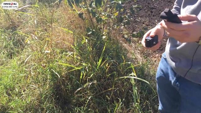 Cильно ли бьЁт собаку током? Электрошоковый ошейник - TRAINERTEC PTS1200 смотреть онлайн