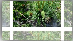 Мужская фотосессия. Потомственные фотографы Соболевы - отец и сын