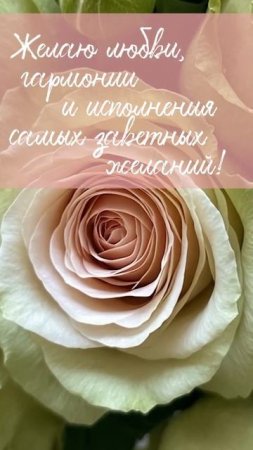 Желаю любви, гармонии и исполнения самых заветных желаний!