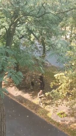 НЕ РАБЫ - Харьков, Новые Дома - ТЦК устроили загонную охоту на парня, но его спас прохожий !!!