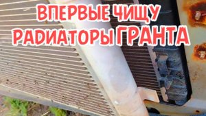 первая чистка радиаторов гранта за 4 года