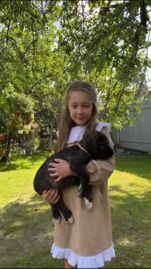 Детишки 🥰🥰
Тёмная Ночь Из Волшебного Леса (35 дней) 💕