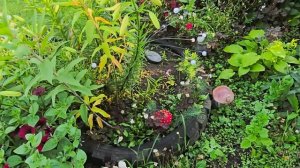 Полный обзор дачи моих родителей