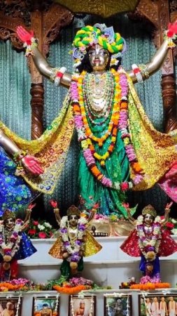 Panchatatva darshan in Mayapur Chandrodaya Mandir #mayapur  #panchatatva #deities #shorts
