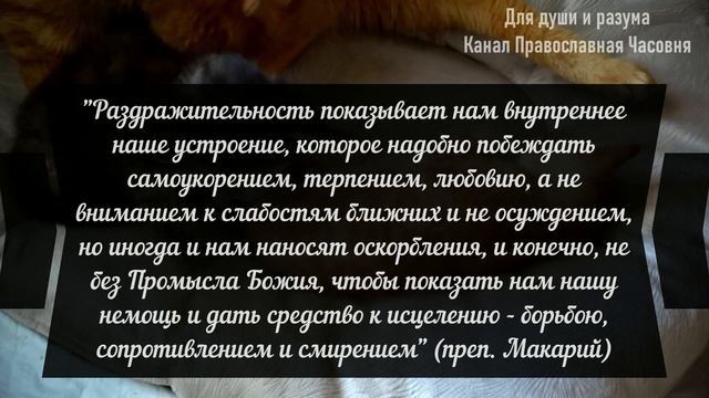 ПОЧЕМУ ИМЕННО ТАК ВЫХОДИТ В НАШЕЙ ЖИЗНИ - ОТКРОЕТСЯ ПОЗЖЕ! смотреть онлайн